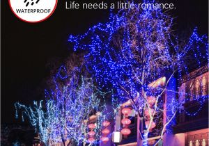 Christmas Light Adapter Aliexpress Com Buy 10m 100led Copper Led String Light Dc12v1a