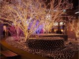 Christmas Light Adapter Light Tree Led String Lights 100leds with Eu Us Plug for Christmas