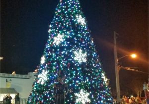 Christmas Lights that Play Music Mount Doras Tree Located In the Heart Of the New Pedestrian Plaza