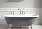 Claw Feet Bathtubs Anatomy Of A Bathtub and How to Install A Replacement