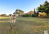 Claw Foot Bath Adelaide sold Property sold Price for 81 Berry Road Mount