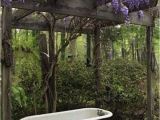 Clawfoot Bathtub Garden 33 Best Outdoor Clawfoot Bathtub Images On Pinterest