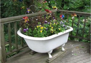 Clawfoot Bathtub Garden 56 Best Cottage Old Bathtub Ideas Images On Pinterest