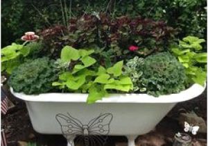 Clawfoot Bathtub Garden Bathtub Turned Into A Planter Want to Do This with Our