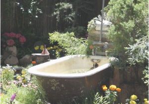 Clawfoot Bathtub Garden Pinterest • the World’s Catalog Of Ideas