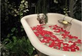 Clawfoot Bathtub Outside 33 Best Outdoor Clawfoot Bathtub Images On Pinterest