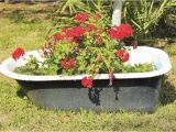 Clawfoot Bathtub Planter 101 Backyard Landscaping Ideas for Your Home S