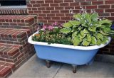 Clawfoot Bathtub Planter Dr Dan S Garden Tips Using the Unusual
