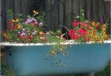 Clawfoot Bathtub Planter My Cast Iron Claw Foot Bathtub Used as A Planter by My