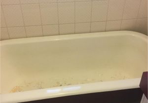 Clawfoot Bathtub Repair Clawfoot Bathtub Repair Inner Bath