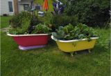 Clawfoot Tub Garden 11 Best Clawfoot Tub Garden Images On Pinterest