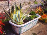 Clawfoot Tub Garden Clawfoot Tub Garden Em43 – Roc Munity