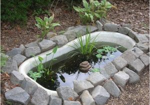 Clawfoot Tub Garden the Daily Tubber Recycling A Clawfoot Bathtub