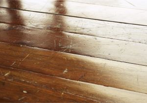 Clean Dog Pee On Wood Floor Hardwood Floor Cleaning Hardwood Floor Restoration Bamboo Hardwood