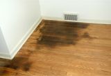 Clean Dog Pee On Wood Floor Hardwood Floor Cleaning How to Remove White Water Stains From Wood
