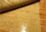 Clean Dog Pee On Wood Floor Hardwood Floor Cleaning Urine Stain Remover Restaining Wood Dog