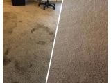 Coit Rug Cleaning San Francisco Upright Cleaning Restoration 47 Photos 100 Reviews Carpet