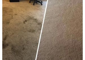 Coit Rug Cleaning San Francisco Upright Cleaning Restoration 47 Photos 100 Reviews Carpet