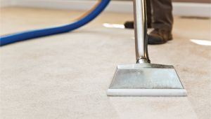 Coit Rug Cleaning San Francisco What are Average Carpet Cleaning Prices Angie S List