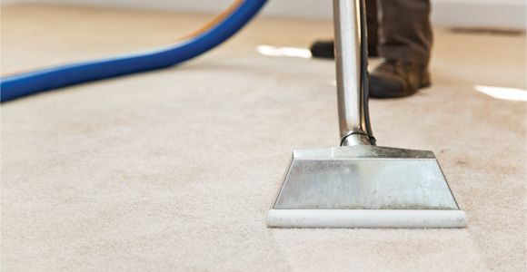 Coit Rug Cleaning San Francisco What are Average Carpet Cleaning Prices Angie S List