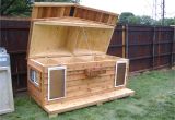 Cold Weather Dog House Plans Dog House for Two Custom Large Heated Insulated Dog House with