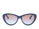 Cole Haan Sunglasses Mens nordstrom Rack Women S Cat Eye Propionate Frame Sunglasses Shops Cats and Sunglasses