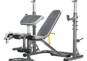 Collapsible Weight Bench Golds Gym Xrs 20 Rack and Bench Fitness Running and Yoga