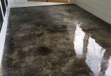 Concrete Floor Paint that Looks Like Wood Gray Acid Stained Concrete Porch Outside Pinterest Stained
