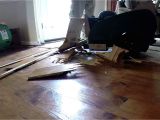 Concrete Floor Scraper Removing Hardwood Floor with A Floor Scraper Youtube