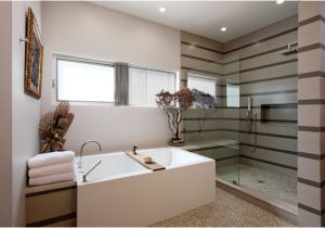 Cool Bathtub Designs Unique Bathtub and Shower Bo Designs for Modern Homes