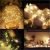 Cordless Christmas Lights Short Battery Operated Christmas Lights Battery Operated Christmas