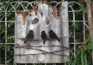 Corrugated Iron Garden Art Tin Birds On Wire Rusty Corrugated Iron Corregated Metal Tin