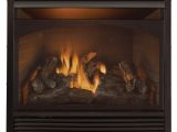 Cost Of Installing A Gas Fireplace Insert Gas Fireplace Insert Dual Fuel Technology with Remote Control