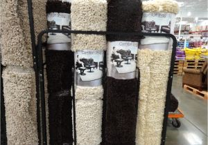 Costco Rugs Thomasville Costco Shag Rugs Gallery Images Of Rug