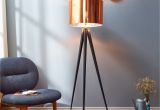 Crate and Barrel Stilt Floor Mirror Versanora Romanza TriPod Floor Lamp with Copper Brown Shade