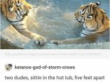 Crow Foot Bathtub 25 Best Memes About Hot Tubs