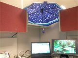 Cubicle Light Blocker Work Environment Shared Fluorescent Light Problem the Workplace