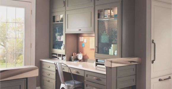 Dark Kitchen Cabinets Black Kitchen Cabinets