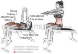 Decline Bench Sit Ups Decline Sit Up A Compound Exercise Target Muscle Rectus Abdominis