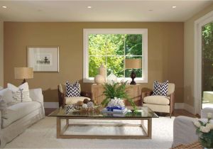 Decor Ideas for Small Living Room Small Living Room Decor Best Of Living Room Traditional Decorating