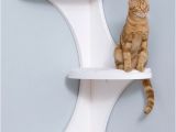 Decorative Cat Trees 20 Most Popular Cat Tree Ideas You Will Love Cat Tree tower and