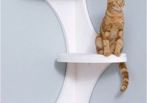 Decorative Cat Trees 20 Most Popular Cat Tree Ideas You Will Love Cat Tree tower and