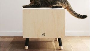 Decorative Cat Trees This Minimalist Modern Cat Bed Doubles as A Functional Side Table