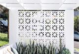 Decorative Concrete Fence Blocks for Sale Breeze Blocks Backyard Fig Landscapes Garden and Patio