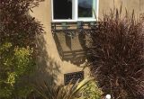 Decorative Metal Foundation Vents Decorative Foundation Vent Cover Customer Images Beaux Arts