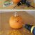 Decorative Pumpkins for Sale 1115 Best Holiday Halloween Decor and Crafts Images On Pinterest