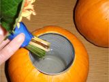 Decorative Pumpkins for Sale Uk Add A Can Inside A Pumpkin to Hold Water Great for An Autumn