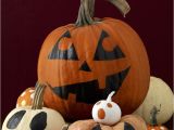Decorative Pumpkins for Sale Uk How to Paint A Pumpkin Tips and Ideas