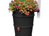 Decorative Rain Barrels for Sale Rain Barrels Watering Irrigation the Home Depot