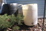 Decorative Rain Barrels Rain Barrels Can Be Piggy Backed to Increase Your Capacity Here